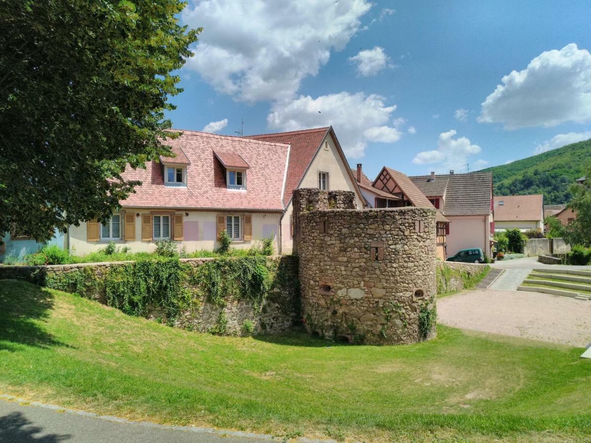 La Grande Terrine - Gites Les Potiers Кайзерсберг Экстерьер фото