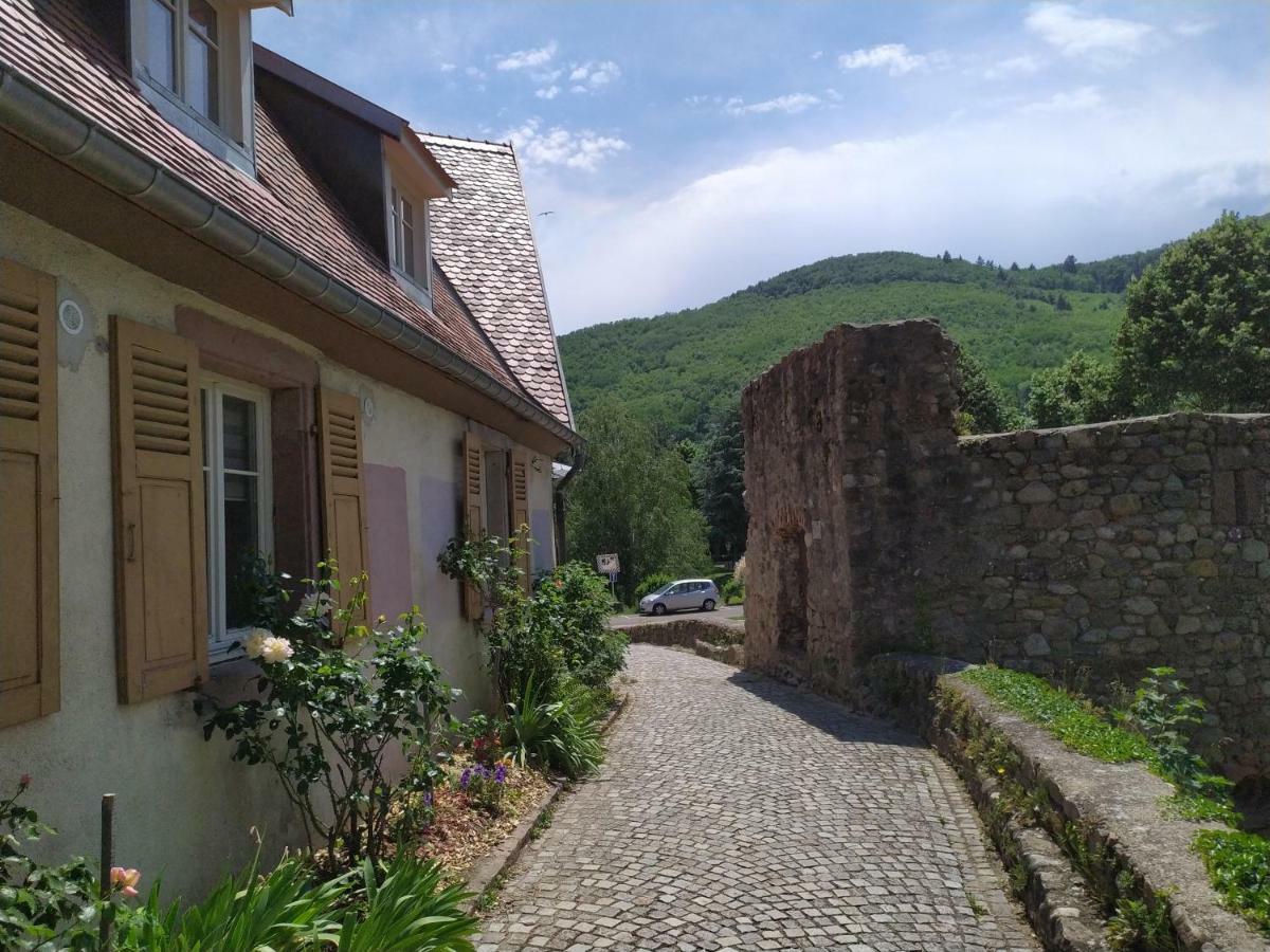 La Grande Terrine - Gites Les Potiers Кайзерсберг Экстерьер фото